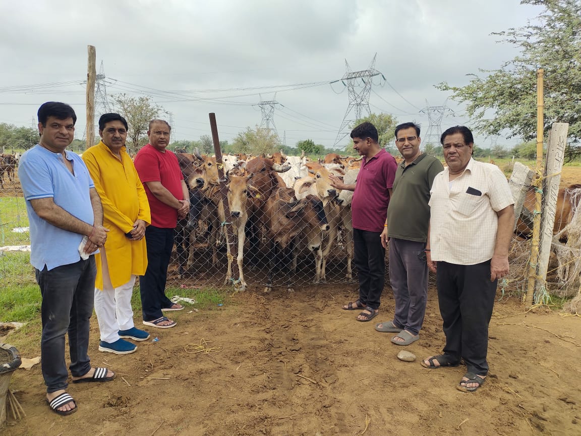 अखिल भारतवर्षीय ब्राह्मण महासभा द्वारा वृक्षारोपण व गोपूजन अखिल भारतवर्षीय ब्राह्मण महासभा द्वारा वृक्षारोपण व गोपूजन